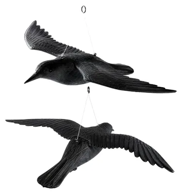Produktbild von Taubenschreck Fliegender Rabe - 2er Set zur Vogelabwehr