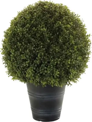 Produktbild von Emerald Künstlicher Buchsbaum - Lynn | 68 cm, inkl. Dekotopf, UV-beständig, für draußen, Kunstbaum, wie echt, Allergiker geeignet, pflanzliche Dekoration Praxis, Office & Wohnzimmer
