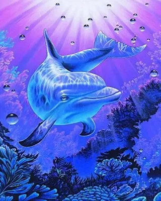 Image de Peinture par numéros : Dauphin