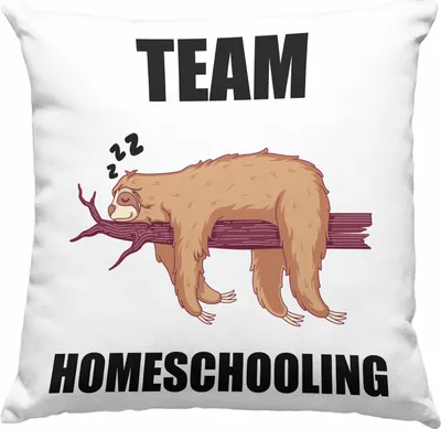 Produktbild von Trendation - Lustige Deko-Kissen mit Füllung 40x40 mit Spruch Faultier Geschenk Lehrer Lehrerin Homeschooling (Grün)