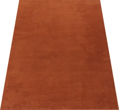 Immagine prodotto di Tappeto moderno per soggiorno a pelo corto lavabile in morbida pelliccia antiscivolo dimensioni 240x340 cm
