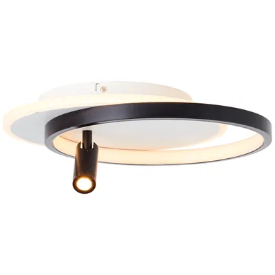 Productafbeelding van Led plafondlamp Eunomia met spotje