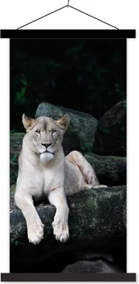 Produktbild von MuchoWow® Textilposter Löwe - Wilde Tiere - Porträt 60x120 cm mit schwarzem Rahmen - Magnete