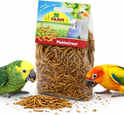 Zdjęcie produktu dla JR FARM Mączniki- naturalne białko dla wszystkich papug 25g
