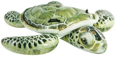 Image de Gonflable en forme de tortue de mer pour piscine 190 x 170 cm - Intex Vera Tartaruga 57555
