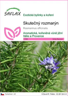 Obrázek produktu pro SAFLAX - Skutečný rozmarýn - Rosmarinus officinalis - 100 Semena