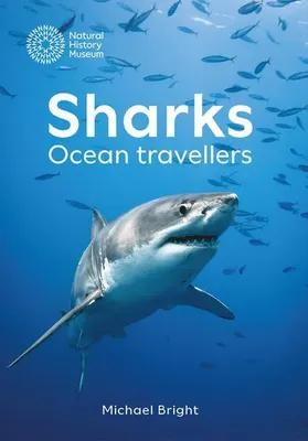 Obrázok produktu pre Sharks