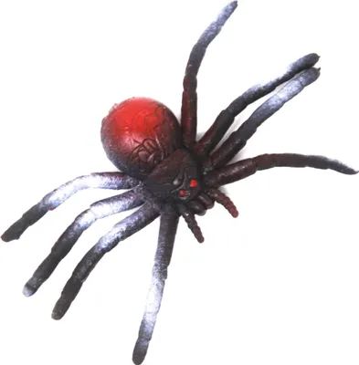 Produktbild von Stretch - Spinne - schwarz/rot