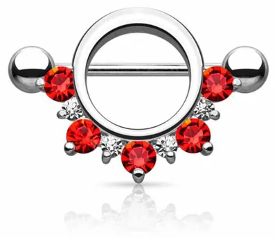 Produktbild von Brustwarzenpiercing Schild Nippelpiercing mit Zirkonia Kristallen Red