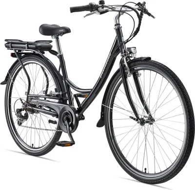 Produktbild von Teutoburg Senne Pedelec mit 7-Gang Shimano Kettenschaltung, 250W und 10,4 Ah / 36 V Lithium-Ionen-Akku