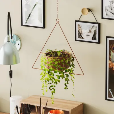 Produktbild von Evila Originals, Hochwertiger Dektopf aus 100% Metall, Kupfer, 35 x 40 x 17 cm | Mit Aufhängung, max. Tragfähigkeit 5 kg | Ideal für moderne Wohnräume, stilvolles Design.