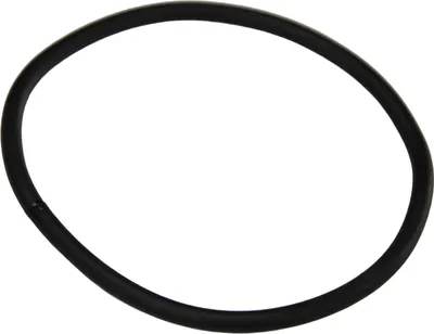 Produktbild von Dichtung Piaggio O-Ring Nebenluftfilter, 831258