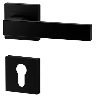 A black door handle and escutcheon plate are shown against a white background.