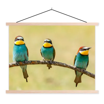 Produktbild von MuchoWow® Textilposter Vögel - Tiere - Bienenfresser 40x30 cm mit holzfarbenen Rahmen - Bilder