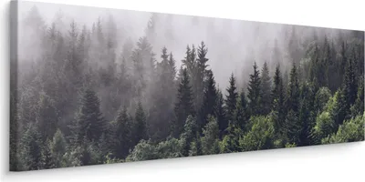 Obrázek produktu pro Panoramatický obraz Les v mlze Krajina Příroda Stromy 145x45cm