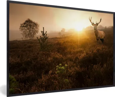 Produktbild von MuchoWow® MuchoWow® Gerahmtes Poster Hirsche - Nebel - Sonnenuntergang 90x60 cm - Poster mit zchwarzem Bilderrahmen - Fotorahmen - Foto-Plakat