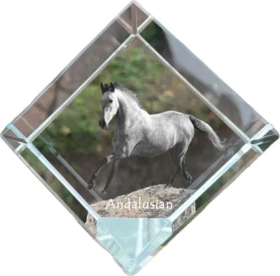 Immagine prodotto di Andaluso dado di cristallo con cavallo Art-Dog