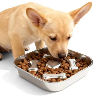 Productafbeelding van Antischlingnapf voor honden en katten van roestvrij staal, Ø21,5 cm