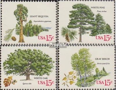 Produktbild von Briefmarken USA 1978 Mi 1364-1367 (kompl.Ausg.) postfrisch Bäume - Amerikanischer Försterverband