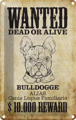 Produktbild von vianmo Blechschild 30x20 cm Hund wanted dead Bulldogge Alias Tier Haustier
