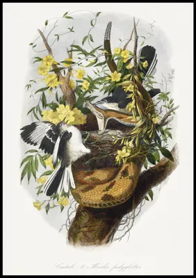 Produktbild von Plakat 70x100cm Nachmacher, Gervais Vintage für das Wohnzimmer