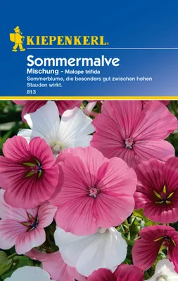 Produktbild von Kiepenkerl Sommermalvensamen Mischung