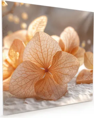 Produktbild von Küchenrückwand Spritzschutz Glas mit Motiv Blumenarrangement 40 x 40 cm