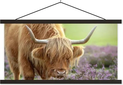 Produktbild von MuchoWow® Textilposter Schottische Hochlandrind - Blumen - Natur 150x75 cm mit schwarzem Rahmen - Posterleiste