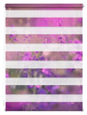 Produktbild von Doppelrollo Klemmfix ohne Bohren mit Blumenwiese - Fuchsia Violett, blickdicht, Germany, Klemmträger 90 cm x 150 cm (B x L)
