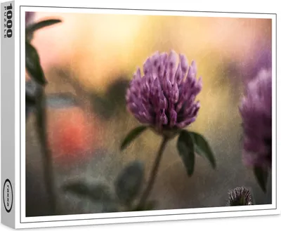 Produktbild von raxxa Premium-Puzzle "Kleeblüte", 1000 Teile