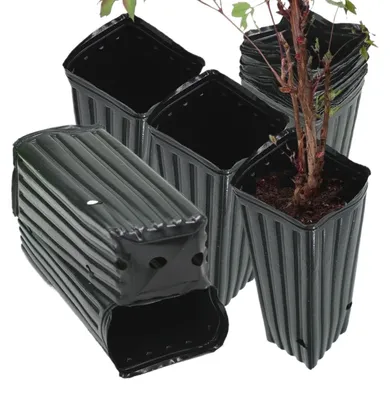 Image de Grandes jardinières pour intérieur et extérieur, lot de 50