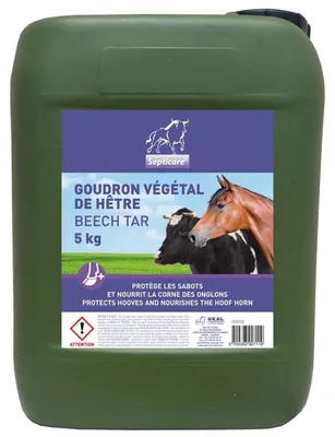 Produktbild von SEPTICARE Buchenholzteer (5 kg)