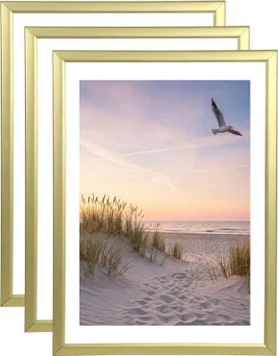 Three gold picture frames are stacked on top of each other, with the front frame displaying a beach scene with a seagull in flight.