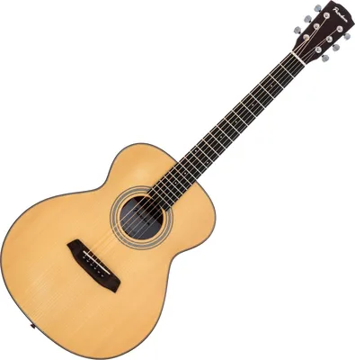 Obrázok produktu pre Pasadena PT-200 Natural Akustická gitara