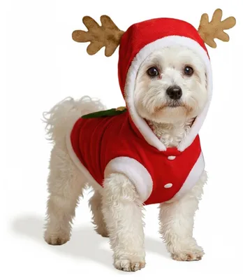 Productafbeelding van Schattig Kerstkostuum voor Honden en Katten met Hertenthema