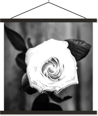 Produktbild von MuchoWow® Textilposter Rose - Blumen - Blätter - Schwarz - Weiß 120x120 cm mit schwarzem Rahmen - Aufhängungsset