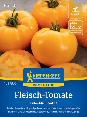 Produktbild von Kiepenkerl Fleisch-Tomatensamen Fido-Midi Gelb F1 Solanum lycopersicum 5 Pflanzen
