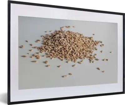 Produktbild von MuchoWow® MuchoWow® Gerahmtes Poster Haufen von Sonnenblumenkernen auf weißem Hintergrund 60x40 cm - Poster mit zchwarzem Bilderrahmen - Schlafzimmer - Plakat in Rahmen - Drucken