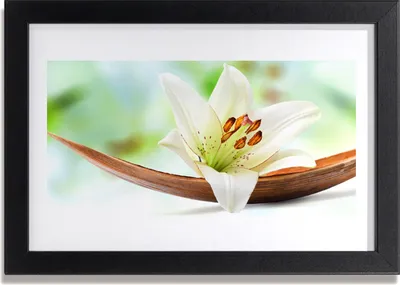 Produktbild von Bild 30x20 MDF-Rahmen Wandkunst Natur Blume Pflanze