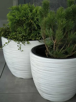 Zdjęcie produktu dla Doniczka FURU z wkładem 29,8 cm - kolor: biały