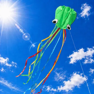 Imagen del producto de Cometas para niños, de color verde, con una envergadura de 4 metros, ideales para volar al aire libre
