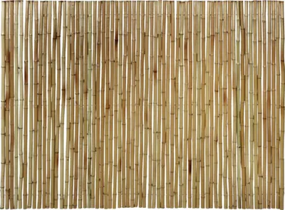 Produktbild von Sichtschutz floraworld Bambus Gala 300 x 150 cm natur