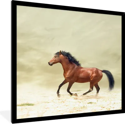 Produktbild von MuchoWow® Gerahmtes Poster Pferd - Stoff - Sand 40x40 cm - Poster mit Schwarzem Bilderrahmen Wandposter Rahmen Foto Bilder - Mit Rahmen - Wanddekoration Schlafzimmer