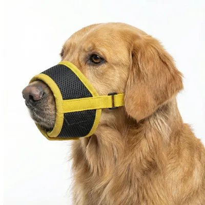 Productafbeelding van Ademende Maulkorf voor Honden, Verstelbaar en Lichtgewicht, Geschikt voor Kleine Honden (Maat S)