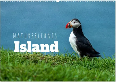 Produktbild von Naturerlebnis Island (Wandkalender 2025 DIN A2 quer), CALVENDO Monatskalender