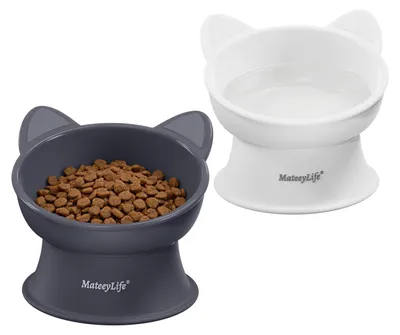Image de Ensemble de gamelles surélevées pour chats et petits chiens