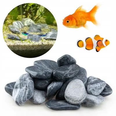 Produktbild von Aquarium Steine Zebra Otoczak 1 kg, 3-8 cm, Naturstein Deko für Aquarium, Aquascaping und Höhlen für Zierfische