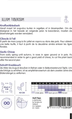Produktbild von Schnitt Knoblauch | Knoblauchsamen von Hortitops