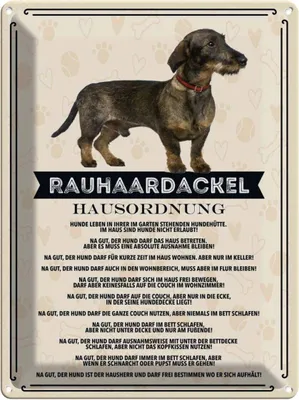 Produktbild von vianmo Blechschild 40x30 cm Tiere Rauhaardackel Hausordnung Tier Haustier Hund