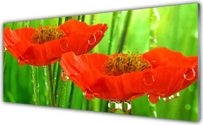 Produktbild von Glasbilder 125x50 Wandbild Druck auf Glas Mohnblumen Pflanzen